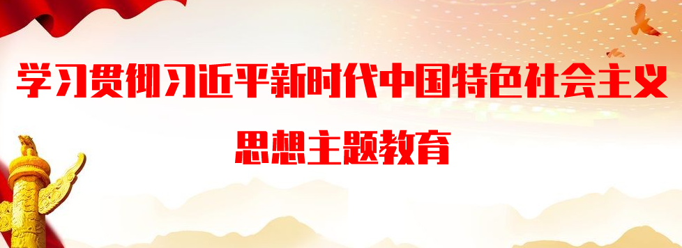 學(xué)習(xí)貫徹習(xí)近平新時(shí)代中國(guó)特色社會(huì)主義思想主題教育
